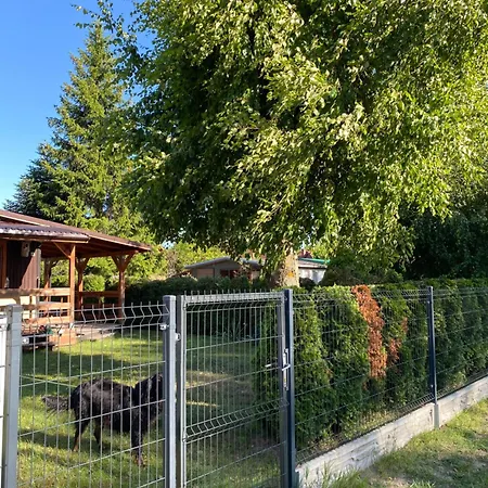 Dom wakacyjny Letnisko Na Pierkunowie *